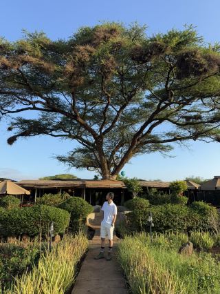 Tulia Amboseli Safari Camp, Kenya 🇰🇪