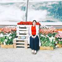 【ドイツ】花好き必見🌷花の島・マイナウ島