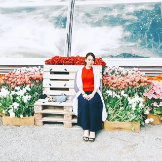 【德國】愛花人士必看！花之島——邁瑙島