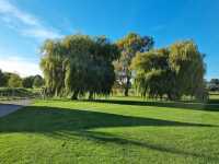 Wicksteed Park