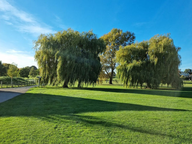  Wicksteed Park