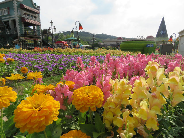 🇰🇷 首爾超美打卡樂園！