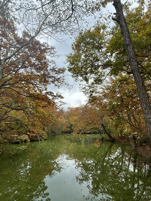 大沼國定公園賞楓