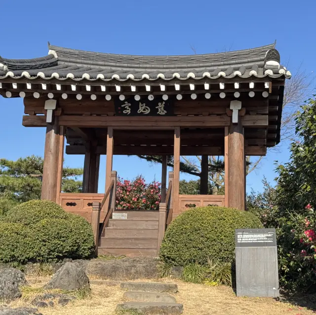 デートに最適な済州島の場所