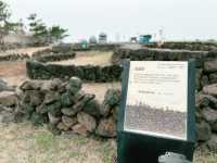 🆓🈚️ 무료 관광지 - 제주 밭담