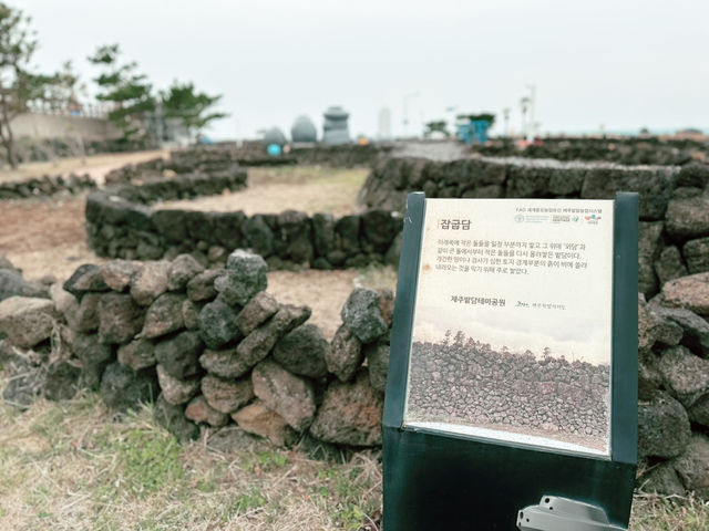 🆓🈚️ 무료 관광지 - 제주 밭담