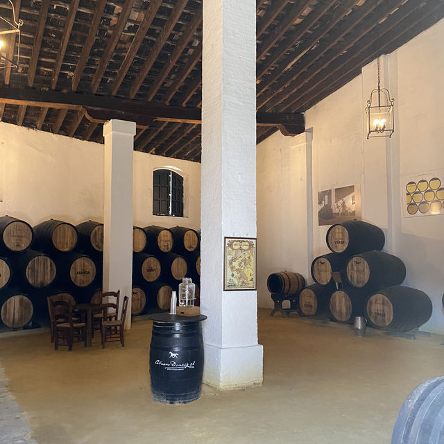 【スペイン・ヘレス】シェリー酒を求めて🍷