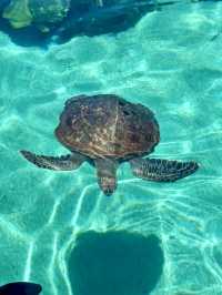 Sea World
