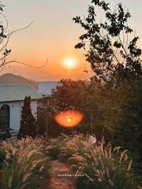 CALM STAY VILLA DOI CHANG ✨