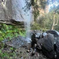 Warrie Circuit Hike: A Waterfall Wonderland