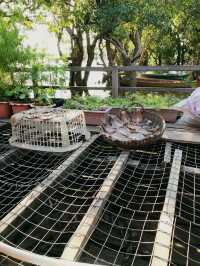 A River of Life at Kampong Phluk Jetty