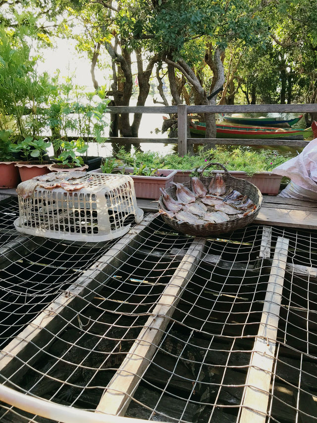 A River of Life at Kampong Phluk Jetty