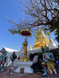 แวะไหว้พระธาตุปูแจ วัดสวย ศักดิ์สิทธิ์ ฟีลดีสุด!✨🙏🏻