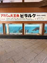 【別府】ココだけ！温泉蒸気熱を利用した「熱帯魚館」がある地獄♨️