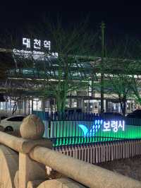 무궁화호 타고 대천역 도착했어요! 기차 여행