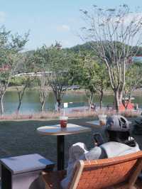 𖤣深圳虹橋公園𖤥𖤥庭園式Cafe