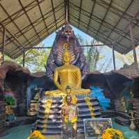 ชมบารมีองค์พญานาคราช ที่วัดป่าปากโดม