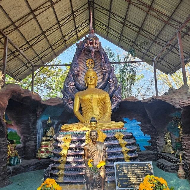 ชมบารมีองค์พญานาคราช ที่วัดป่าปากโดม