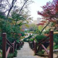 景山公園：在“城市綠肺裡深呼吸” 🌳💨