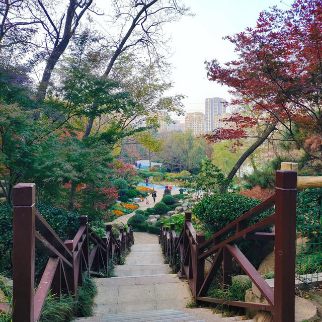 景山公園：在“城市綠肺裡深呼吸” 🌳💨