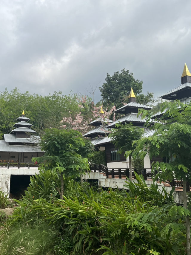Rajamaitri Buri homestay 