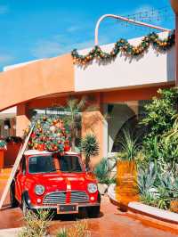 Casa Tropika 🍵☕️