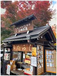 【岐阜/飛騨高山】飛騨牛の握り寿司が絶品‼︎＊飛騨高山「古い町並み」で食べ歩き＊