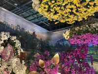 台南後壁-亞太蘭花會議暨台灣國際蘭展 Orchid Show 