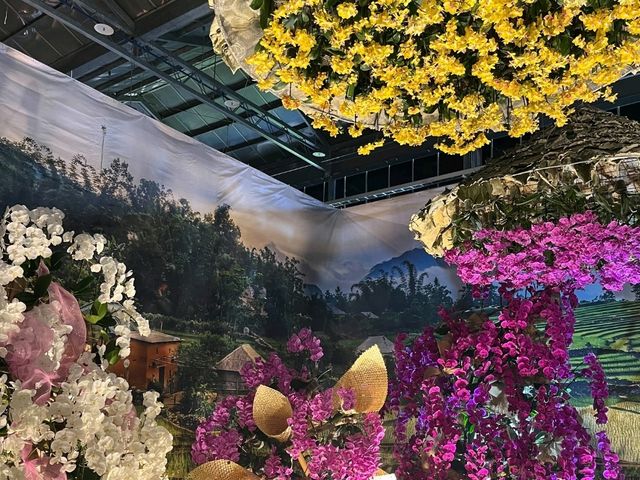台南後壁-亞太蘭花會議暨台灣國際蘭展 Orchid Show 