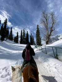 Riding Through Paradise: Horse Riding in Pahalgam