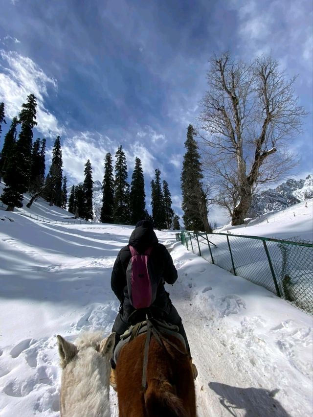 Riding Through Paradise: Horse Riding in Pahalgam