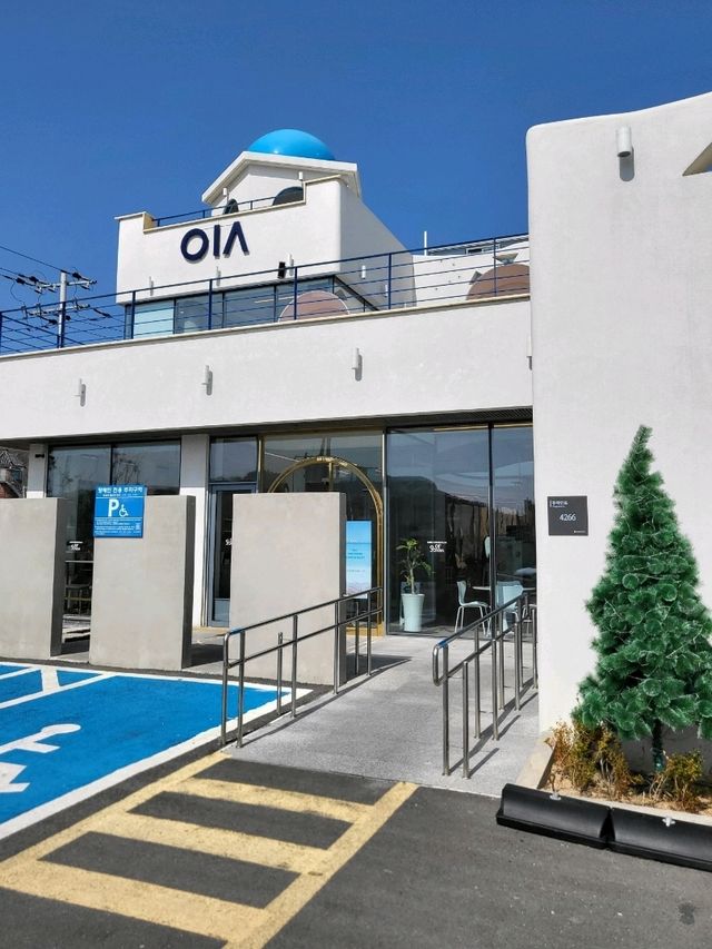 한국의 산토리니가 있는 포항카페
