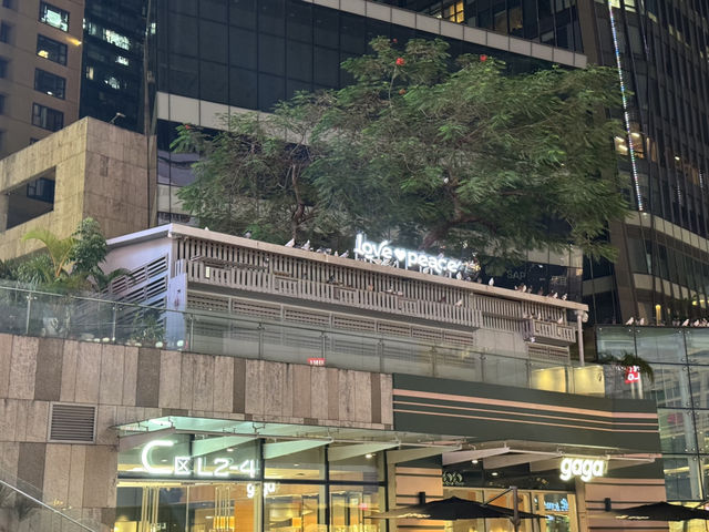 深圳華強北美食玩樂2天遊