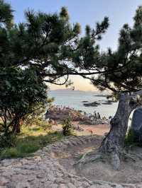 🇨🇳 Qingdao - More Than Just Beer 🍻 