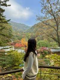 사계절이 예쁜 이곳! 