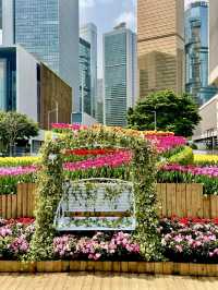 Tamar Park in Spring: A Vibrant Tapestry of Colors