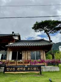 숲속에서 건강한 힐링데이트🌿
