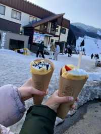 【めいほうスキー場⛷️】