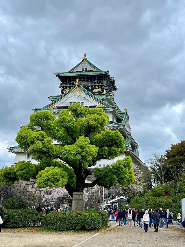 🇯🇵 大阪 | 大阪城公園的櫻吹雪 🌸