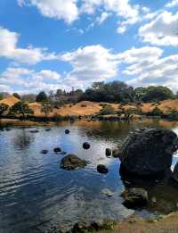 熊本水前寺成趣園昂、出水神社，寧靜美，還有喝了會長壽的水！！