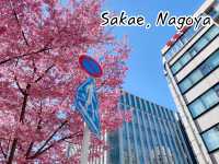 ต้นซากุระ @Sakae Street, Nagoya