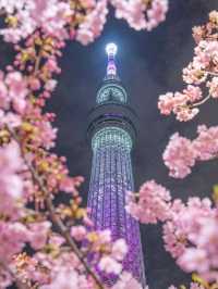 東京 第一高塔晴空塔🔥