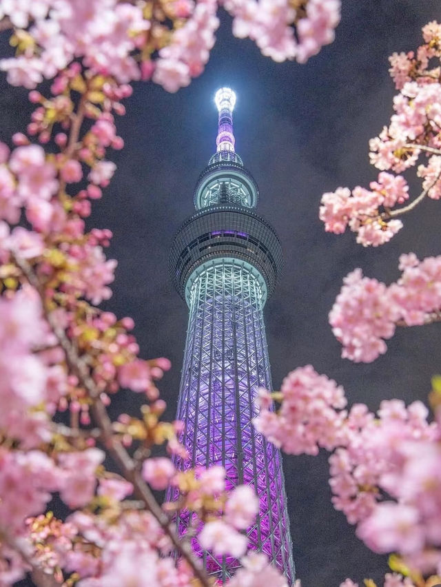 東京 第一高塔晴空塔🔥