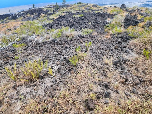ハワイ島の壮大な火山ドライブ！チェーン・オブ・クレーターズ・ロードとホーレイシーアーチの絶景を巡る