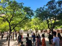 [🇪🇸セビージャ] セビージャの街並みを歩いて、魅力的な散策のひとときを