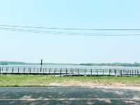 Canvas Family Home Trat