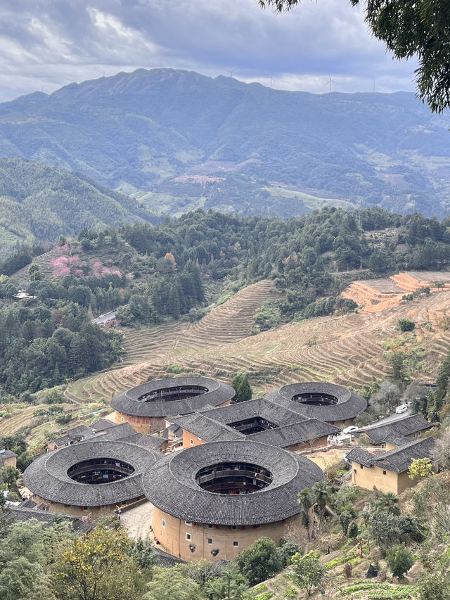福建歷史古蹟🏛️雲水謠➕田螺坑土樓