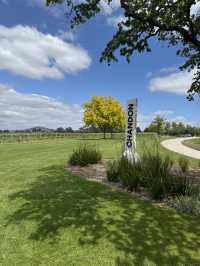 Chill afternoon at Chandon Winery in Melbourne! 🍾🥂