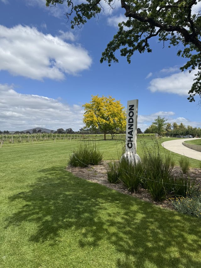 Chill afternoon at Chandon Winery in Melbourne! 🍾🥂