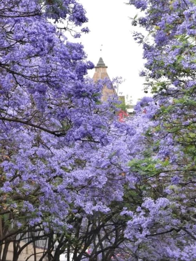 Kunming China 